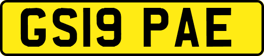 GS19PAE