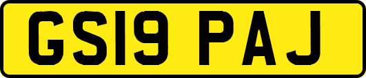 GS19PAJ