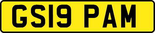 GS19PAM
