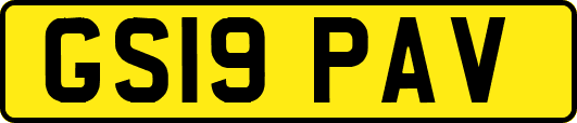 GS19PAV
