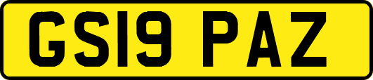 GS19PAZ