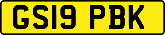 GS19PBK