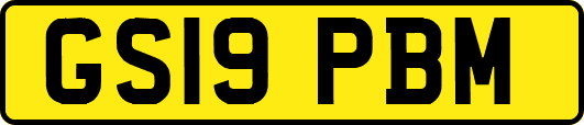 GS19PBM