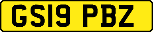 GS19PBZ