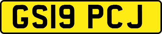 GS19PCJ
