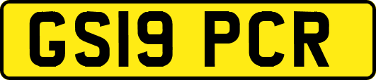 GS19PCR