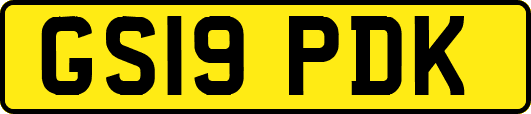 GS19PDK