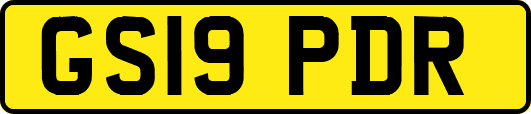 GS19PDR