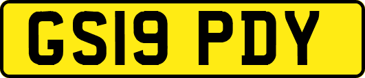GS19PDY