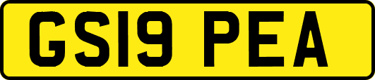 GS19PEA