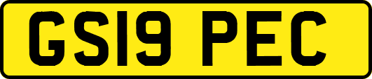 GS19PEC