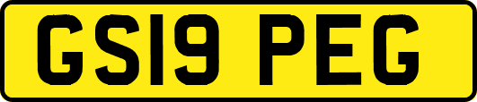 GS19PEG