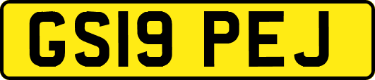 GS19PEJ