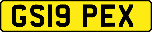 GS19PEX