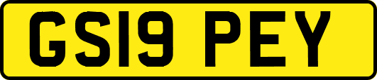 GS19PEY