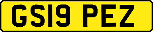 GS19PEZ