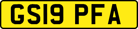 GS19PFA