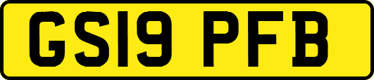 GS19PFB
