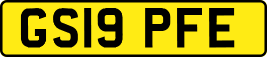GS19PFE