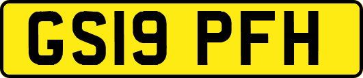 GS19PFH