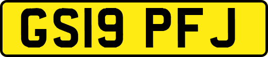 GS19PFJ