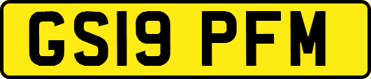 GS19PFM