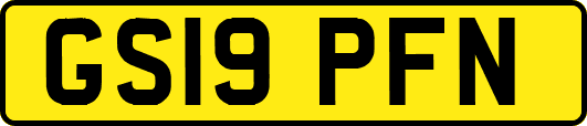 GS19PFN