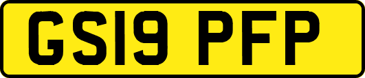 GS19PFP