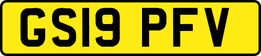 GS19PFV