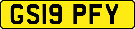GS19PFY