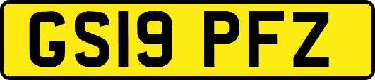 GS19PFZ