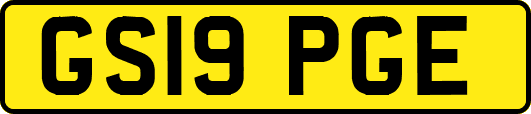 GS19PGE