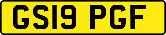 GS19PGF
