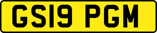 GS19PGM