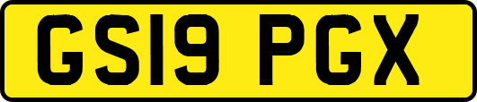 GS19PGX