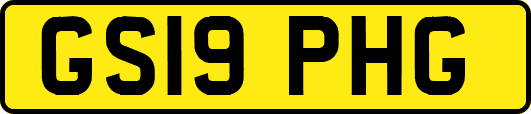GS19PHG