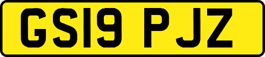 GS19PJZ