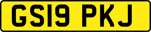 GS19PKJ