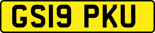 GS19PKU