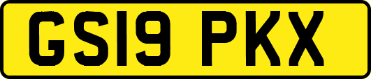 GS19PKX