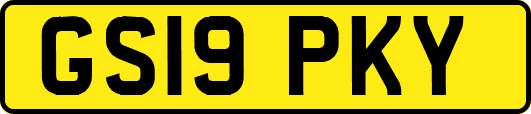 GS19PKY