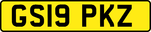 GS19PKZ