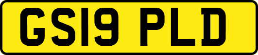 GS19PLD