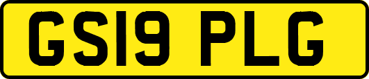 GS19PLG