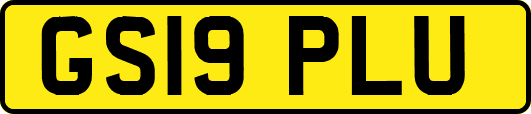 GS19PLU