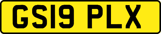 GS19PLX