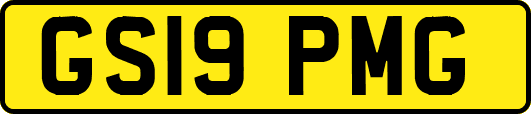 GS19PMG