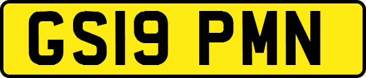GS19PMN