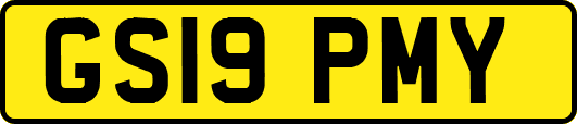 GS19PMY