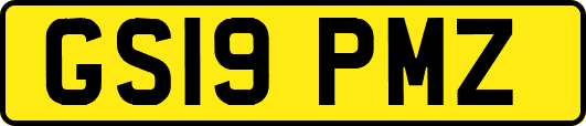 GS19PMZ